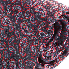 Black & Red Mini Paisley Print Tie - Tie Doctor  