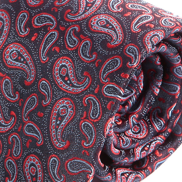 Black & Red Mini Paisley Print Tie - Tie Doctor  