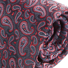 Black & Red Mini Paisley Print Tie - Tie Doctor  